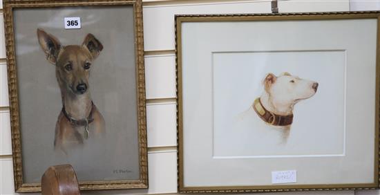 Study of a Bull Terrier by Edith Cheeseman and another dog study by M. Porter, 36cm x 24cm and 21cm x 27cm